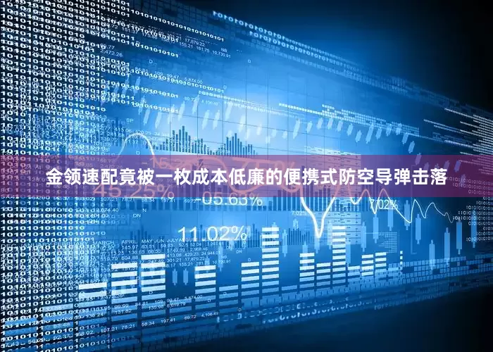 金领速配竟被一枚成本低廉的便携式防空导弹击落